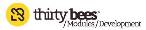 Thirty bees modules development Course